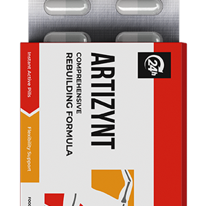 ArtiZynt