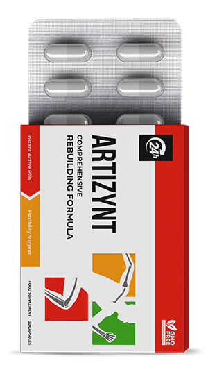 ArtiZynt